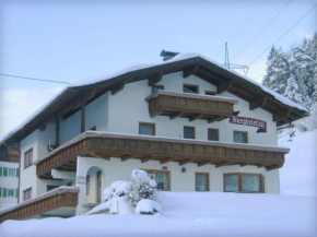 Гостиница Ferienhaus Bergkristall, Петтной Им Альберг